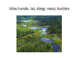 Milieu humide : lacs, étangs, marais, tourbière