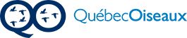 Québec Oiseau